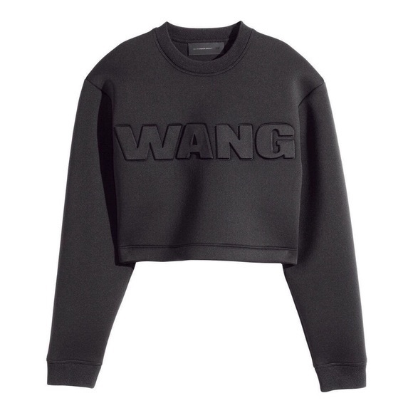 Alexander Wang Sweaters - ALEXANDER WANG x H&M Cropped Black Sweater